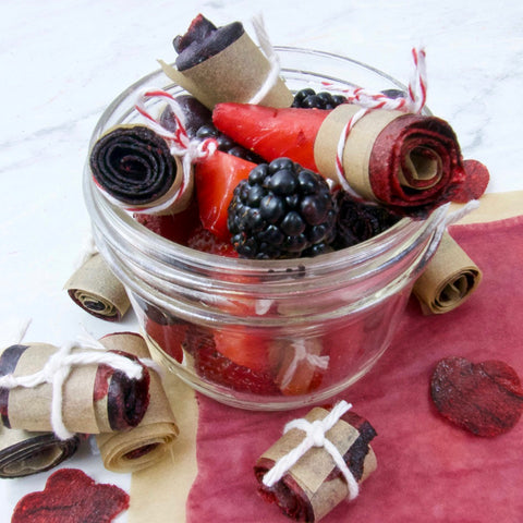 How to Make All Natural Fruit Roll Ups Recipe in Dehydrator & VitaMix