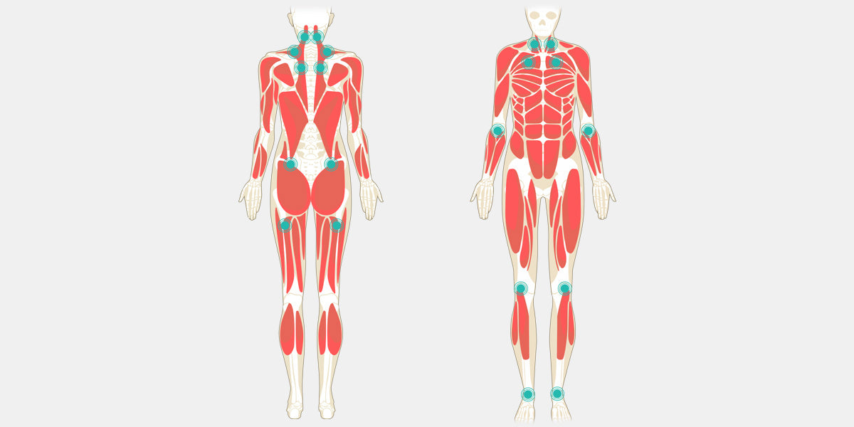 https://cdn.shopify.com/s/files/1/0763/4541/files/Fibromyalgia-Diagram.jpg?v=1527761757