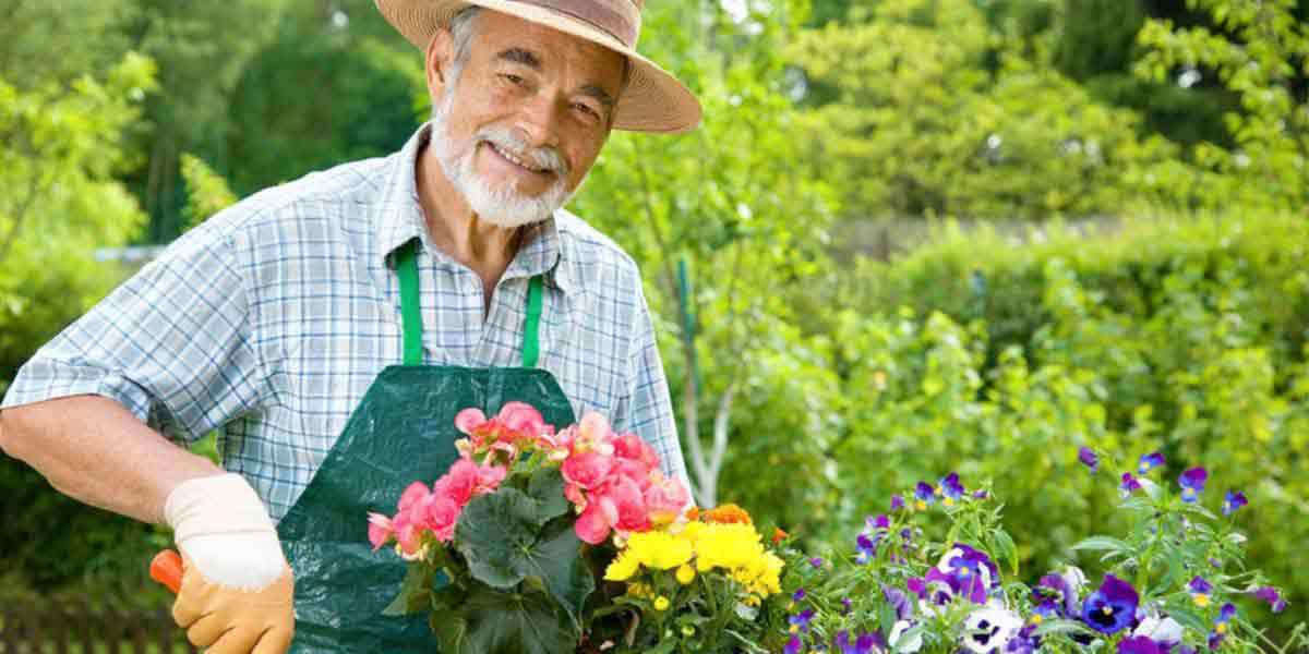 Senior Gardener