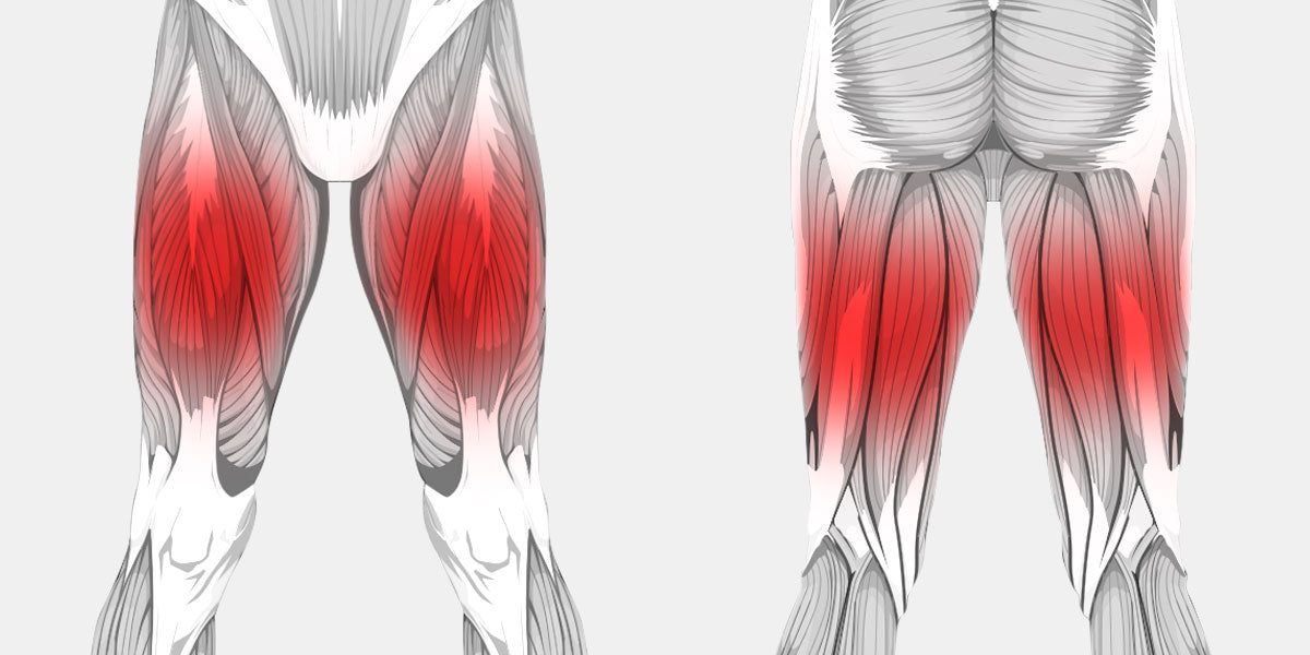 Thigh Pain The Complete Injury Guide Vive Health