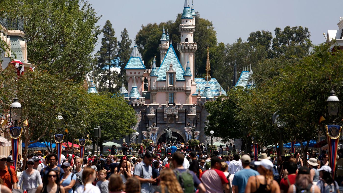 Crowds and queueing lines in Disneyland