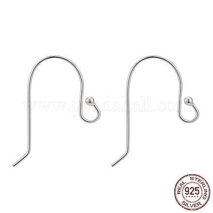 Earring Hooks