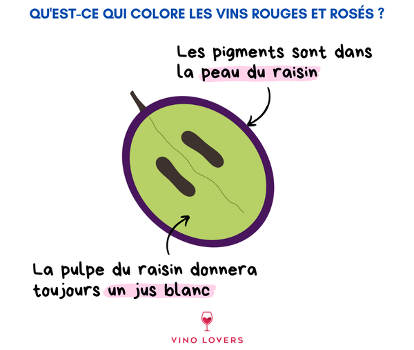 Couleur du vin