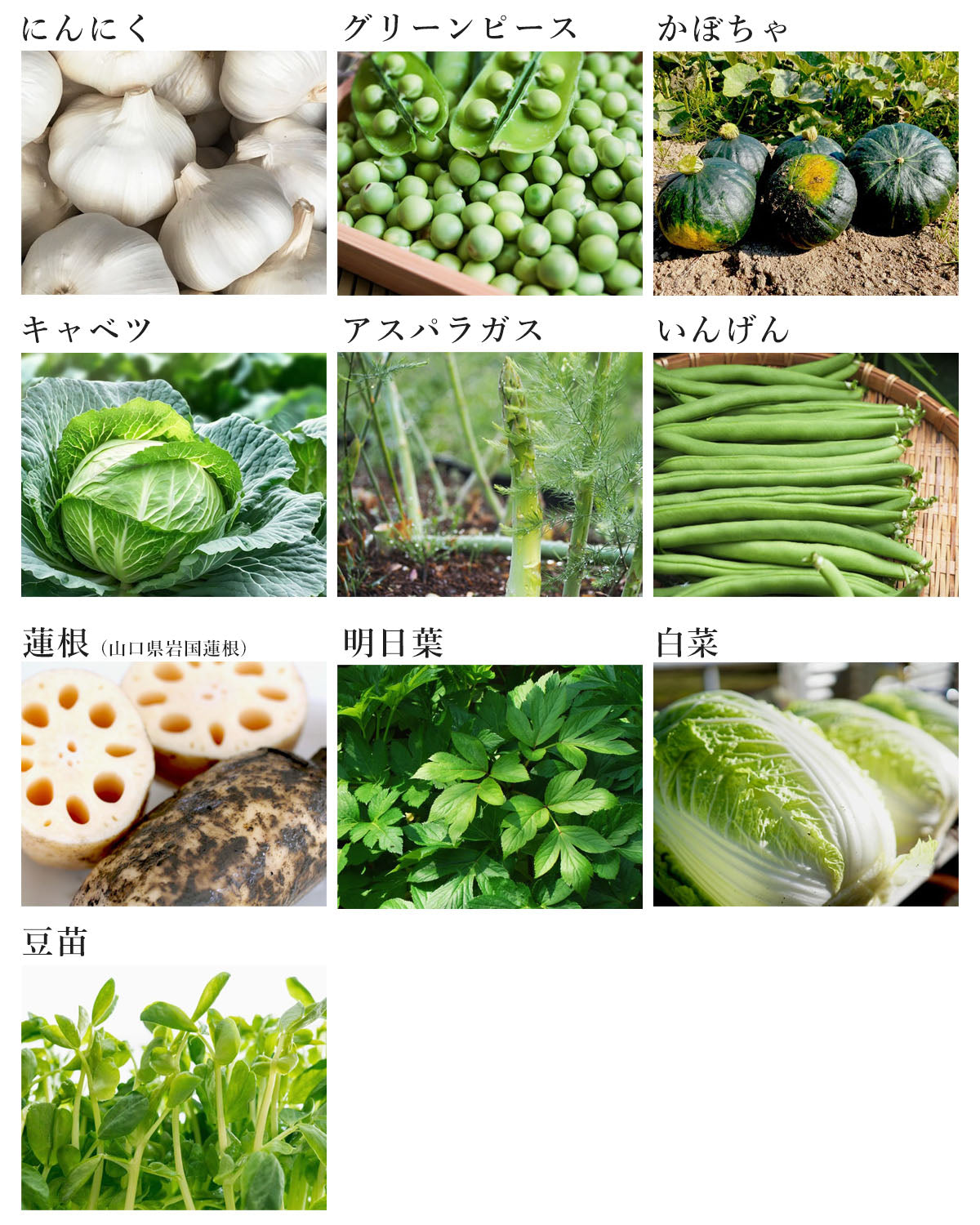 34種類の国産野菜