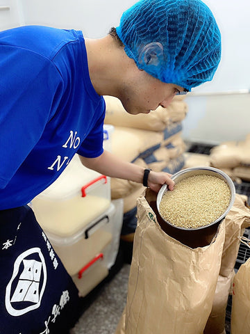 Chuyên gia người Nhật kiểm tra chất lượng gạo