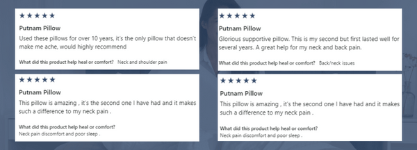 The Putnam Pillow reviews