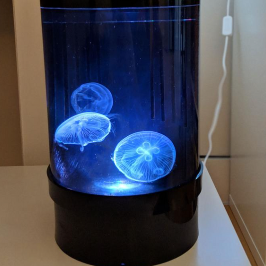C8 Nano jellyfish aquarium