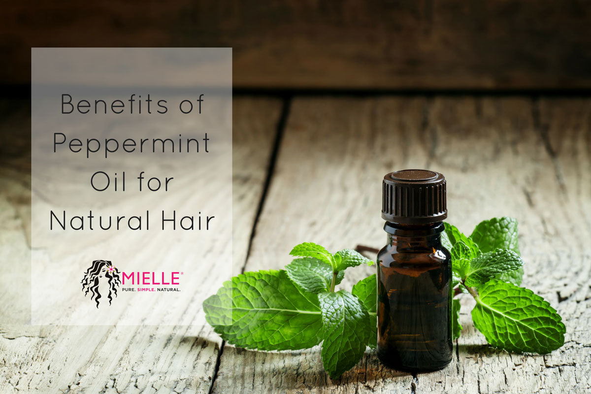 Hair Care Tips: Benefits Of Peppermint Oil - MIELLE