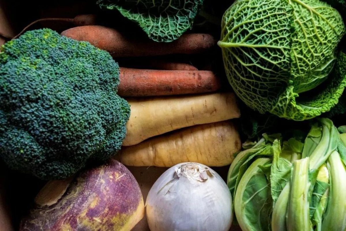 Winterfermentierung: Kann man Gemüse im Winter fermentieren?