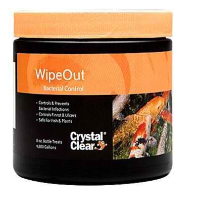 Crystal Clear Wipeout Bacterial Control 8 Oz Loch Ness Water Gardens