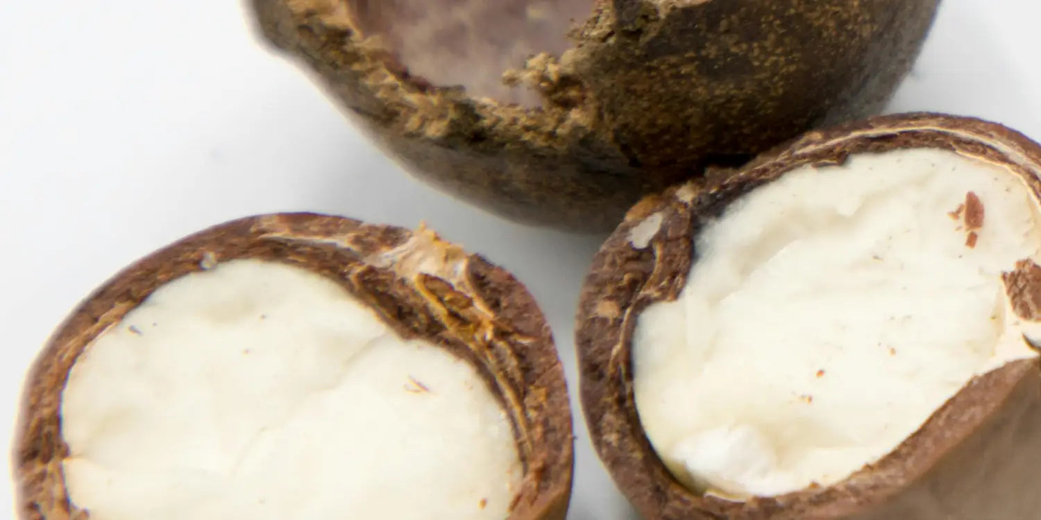 macadamia