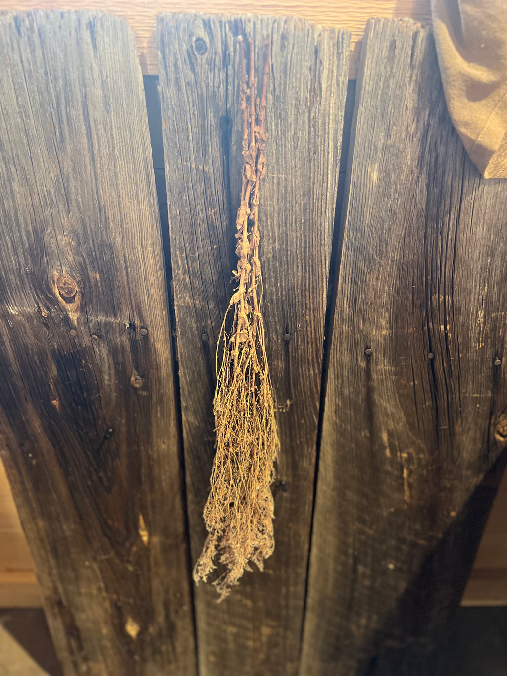 Dried Lavender – Wild & Rust