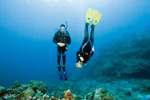 Scuba Diving Adventure underwater in Goa