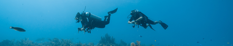 Scuba Diving in Goa