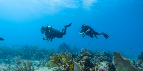 scuba diving in Maldives