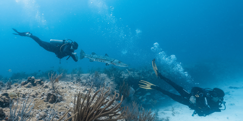 scuba diving with camera