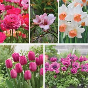 Gardening — Better Homes and Gardens Shop