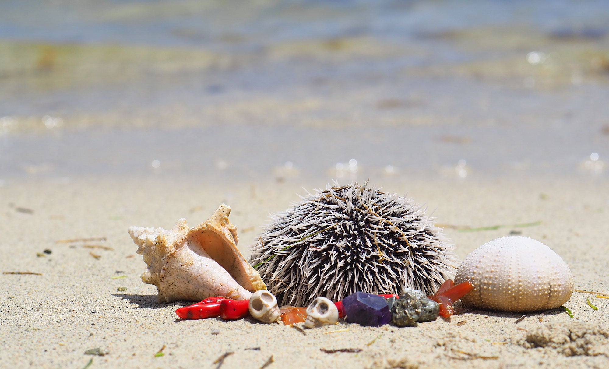 surlestoitsdeparis - nature morte - plage