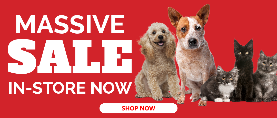 pets online shopping
