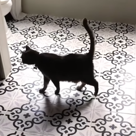 The Stenciled Bathroom Floor