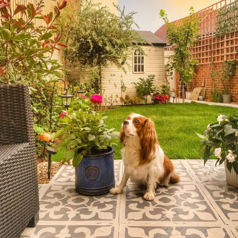 Finished Patio using a Tile Stencil