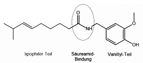 Capsaicin Chemische Formel