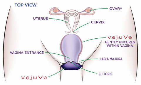 top-view-of-vejuve-enhancer-inside-vagina