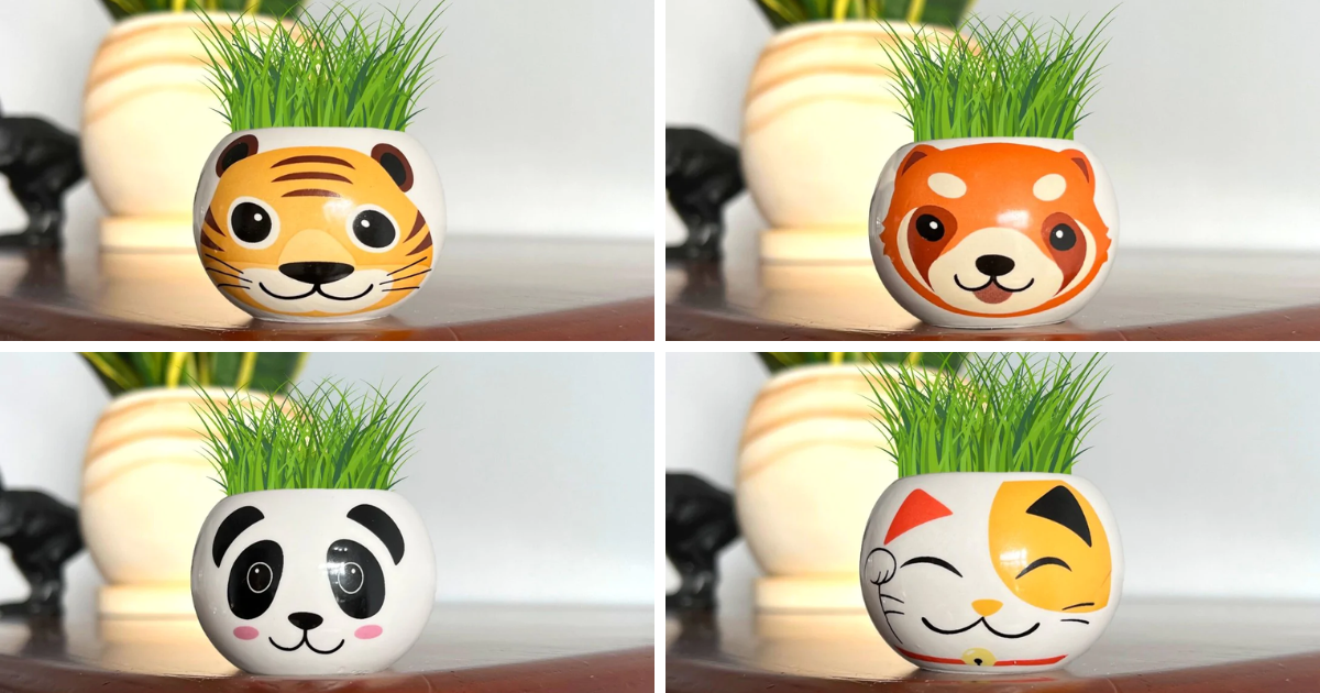 A collection of grow your own plants by boutique garden with animal design pots including; a cat, a fox, a panda, and a tiger.