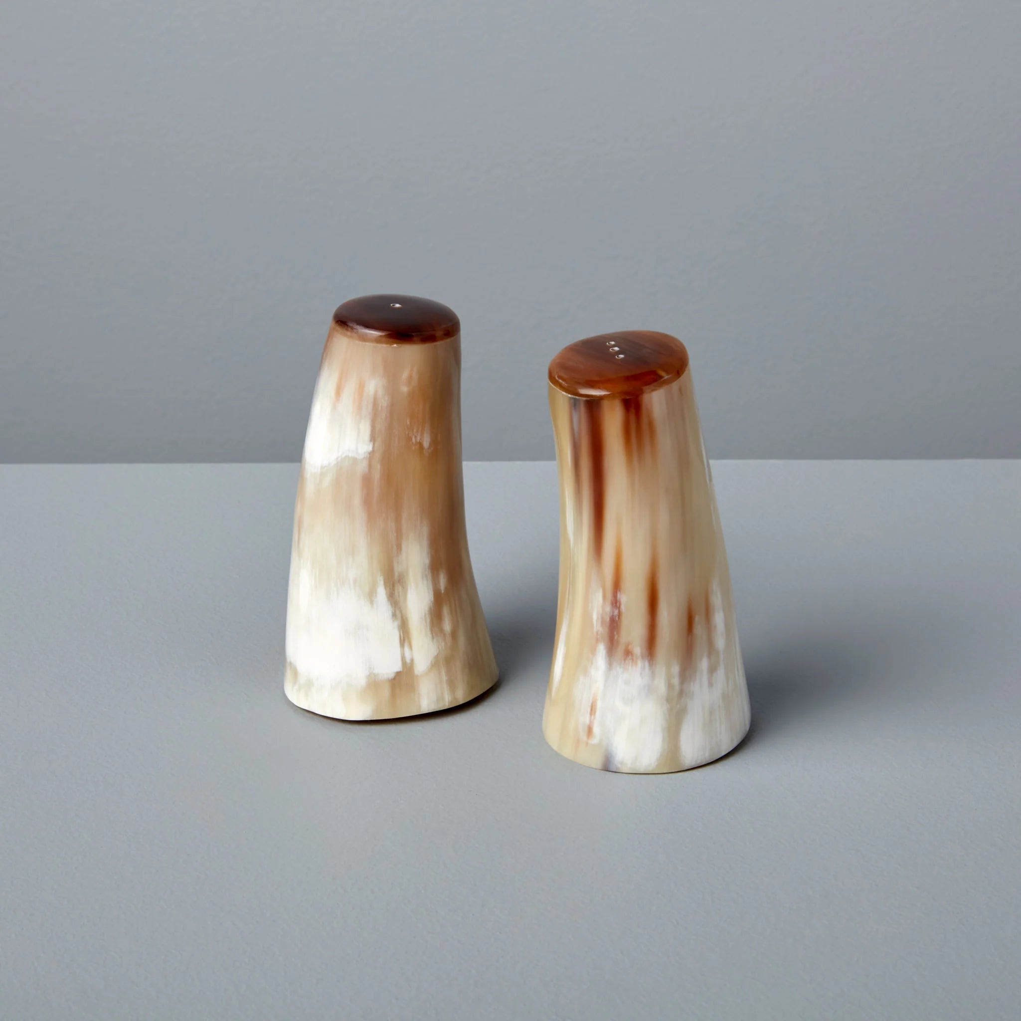 Horn Salt and Pepper Set