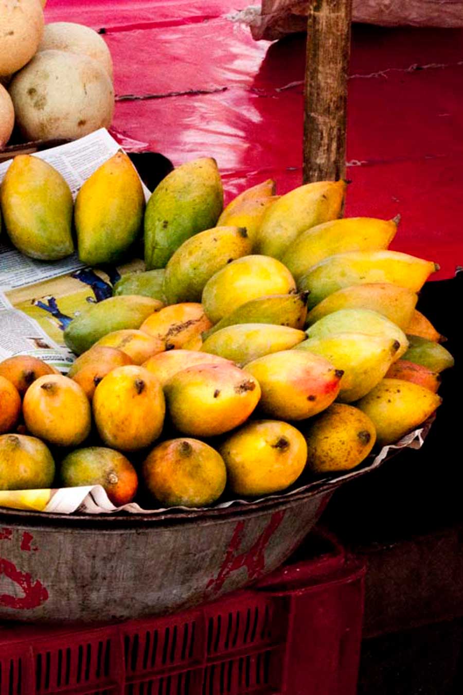 Plateau de mangues fraîches au marché