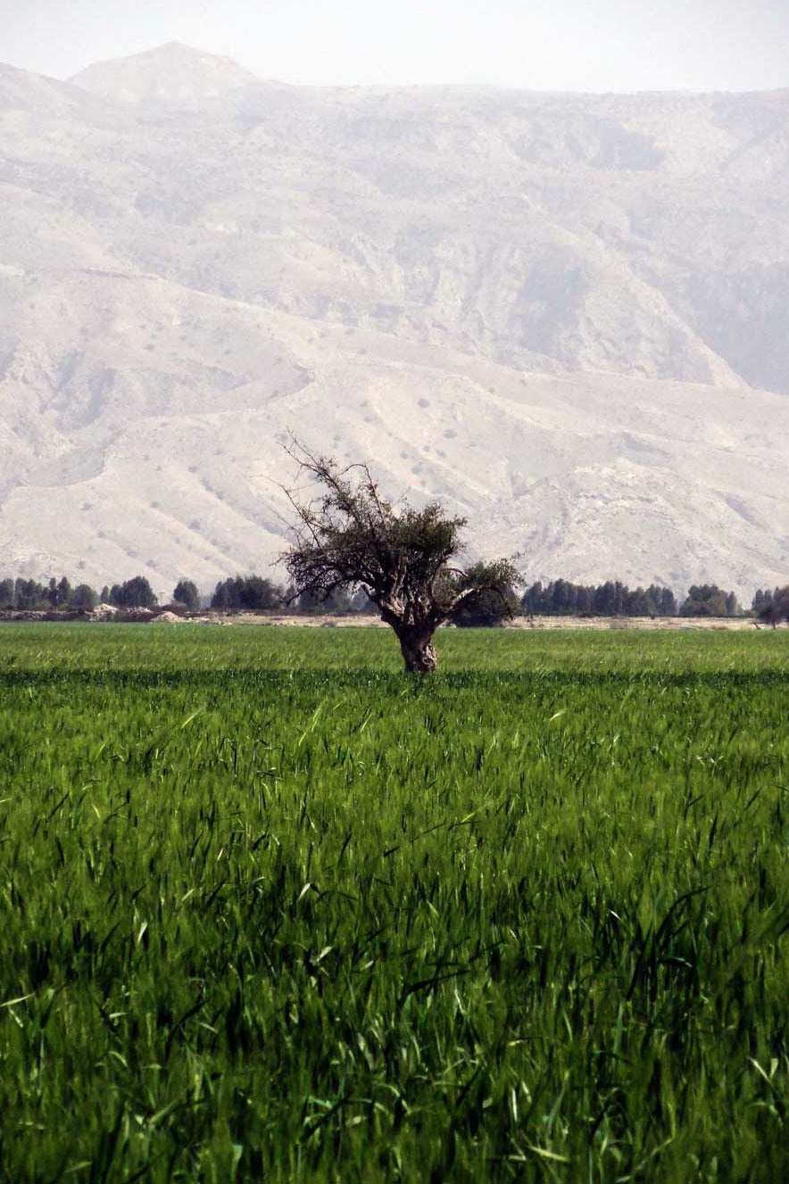Paysage de la région de Fars, photo de Hadi Karimi