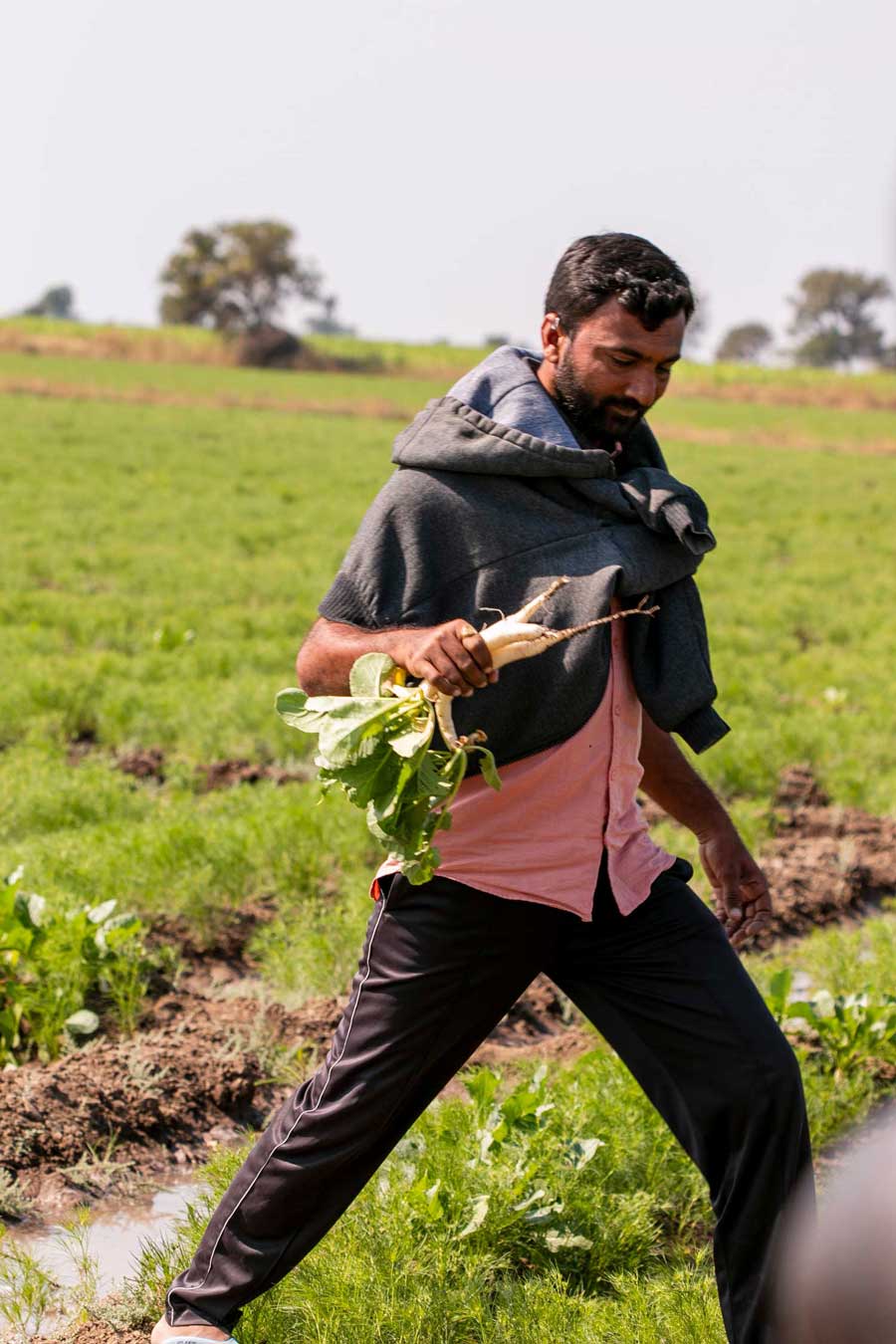 Producteur du Gujarat, en Inde, avec qui nous collaborons