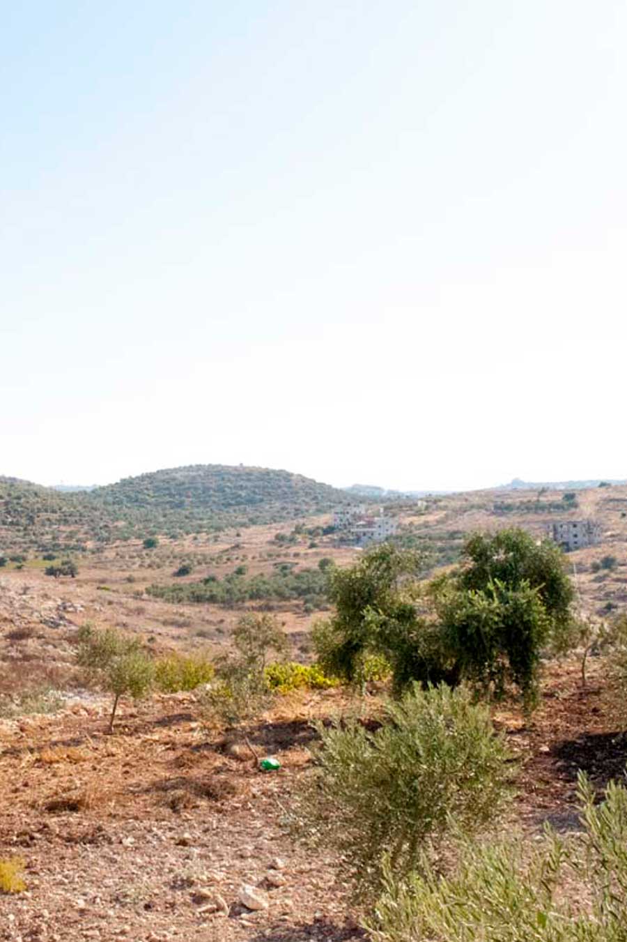 Paysage pris à Jénine, en Palestine