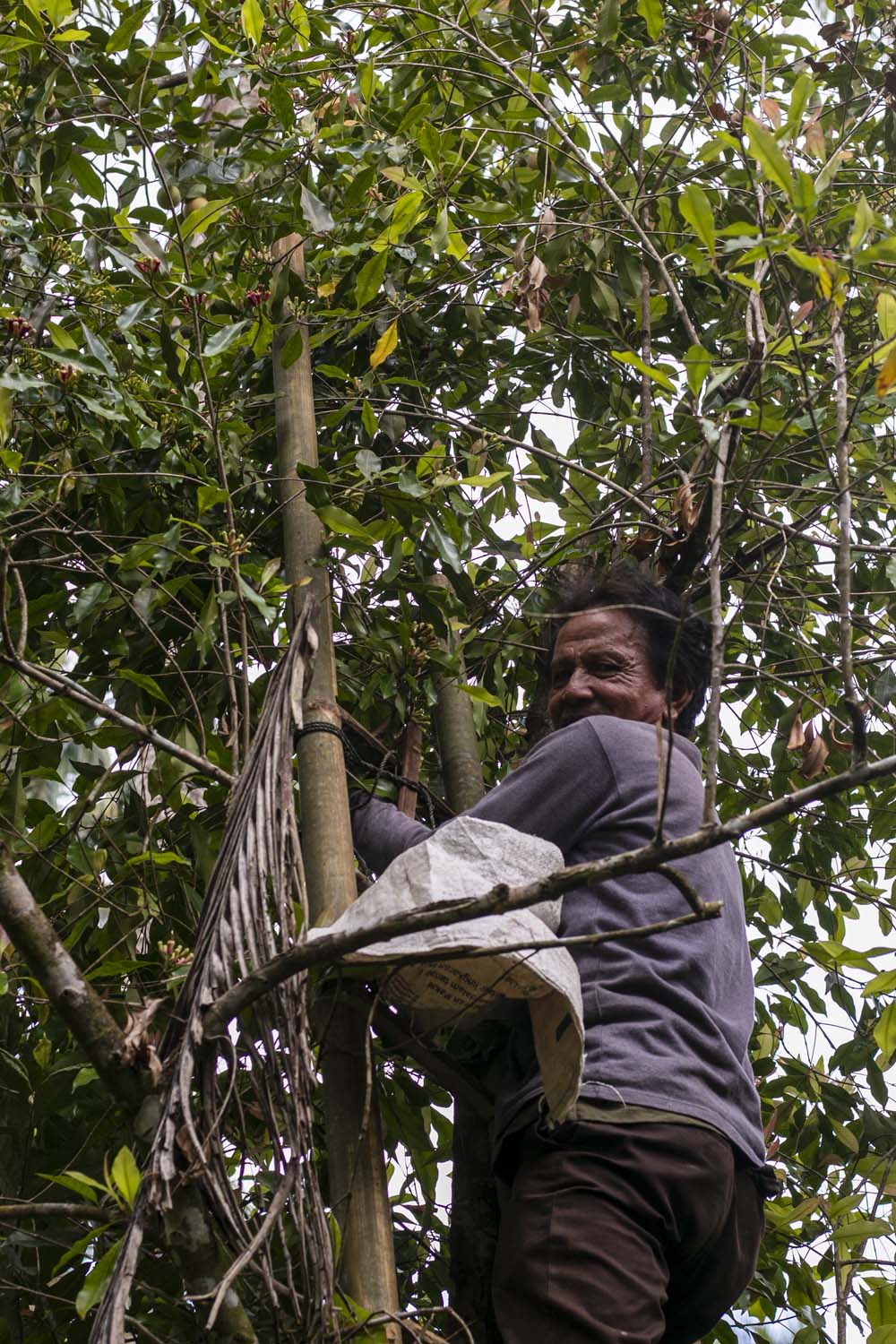 Producteur d'épices de l'île de Sulawesi, en Indonésie, avec qui nous collaborons