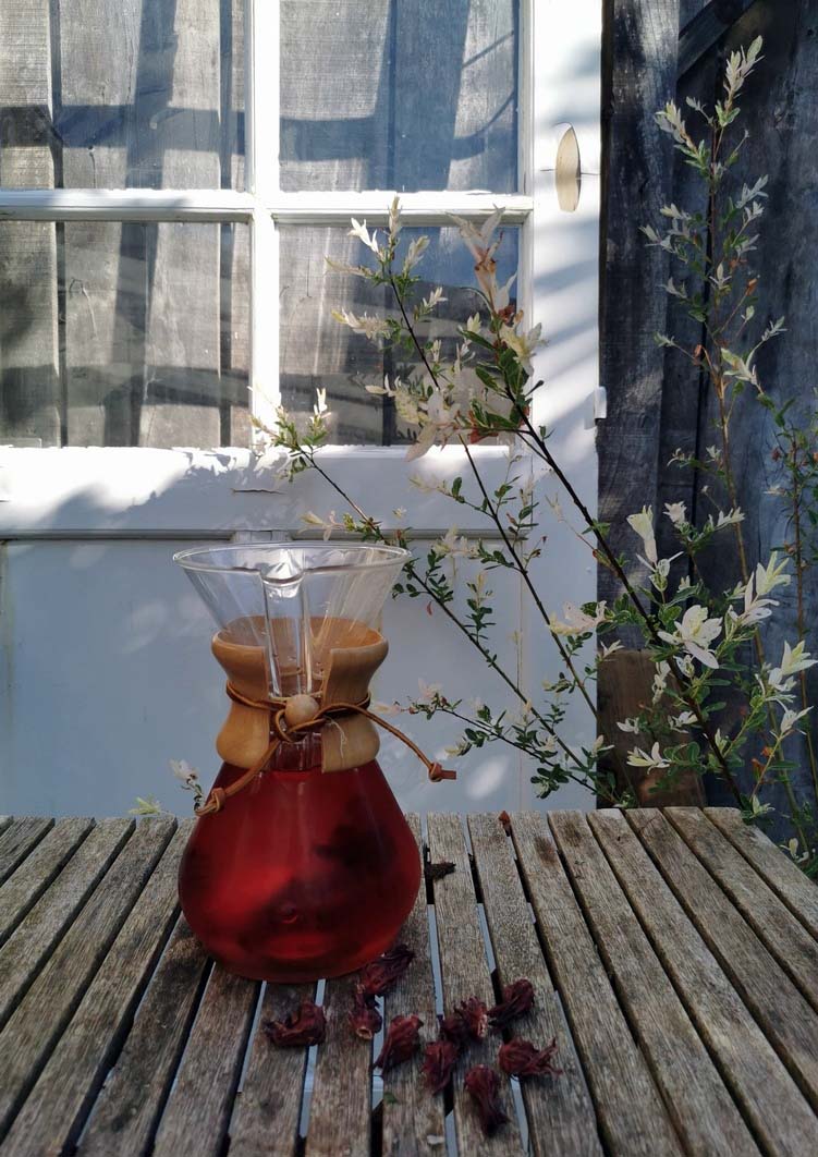 Fleurs de d'hibiscus infusées, photo prise par La Becquée