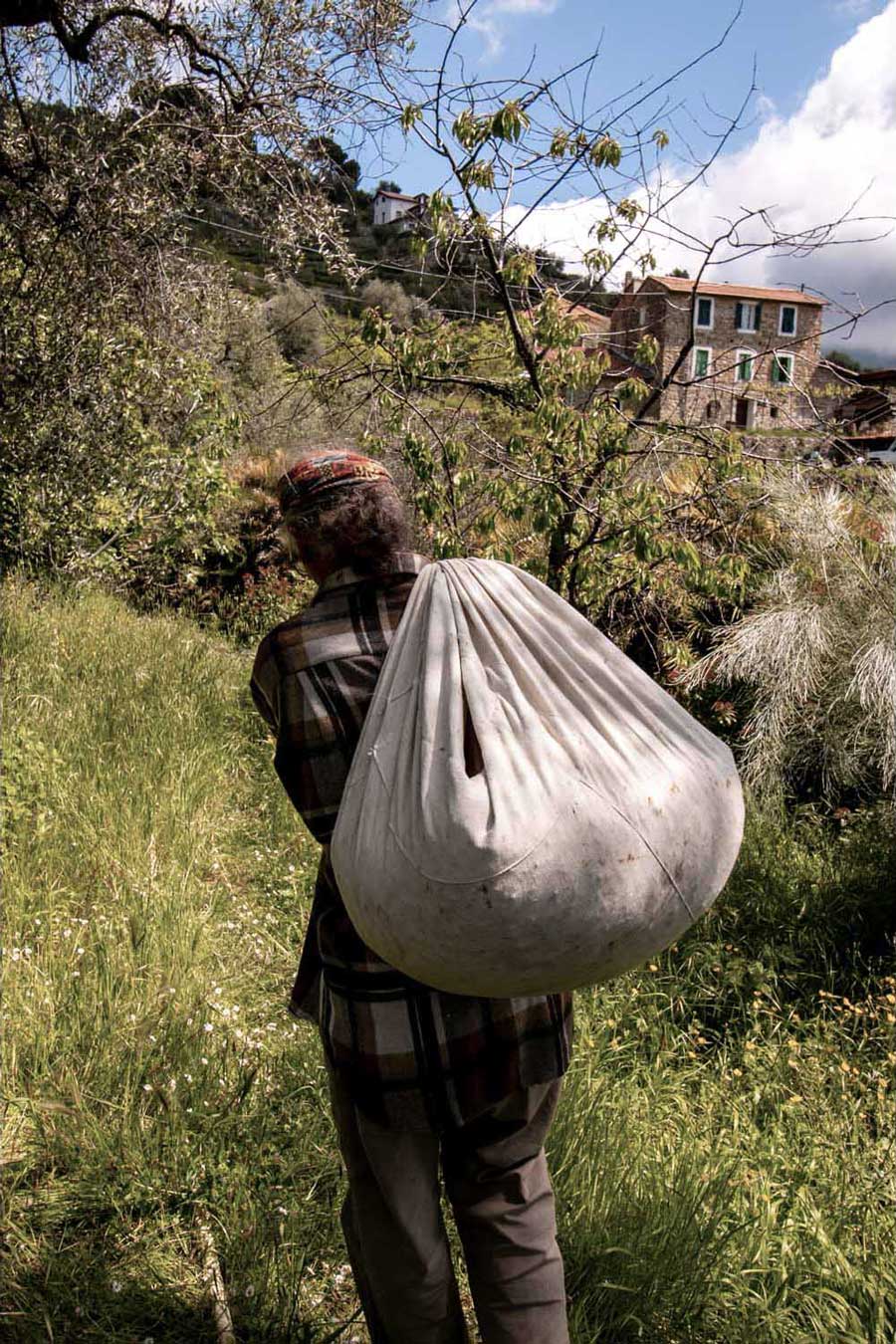Producteur d'eau de fleur d'oranger, portant un sac rempli de fleurs