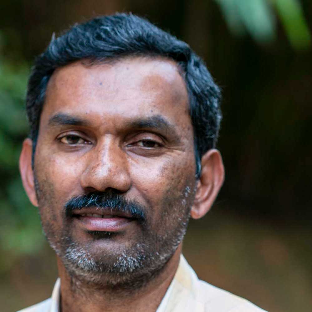 Producteur de poivre vert dans le Kerala, en Inde, avec qui nous collaborons