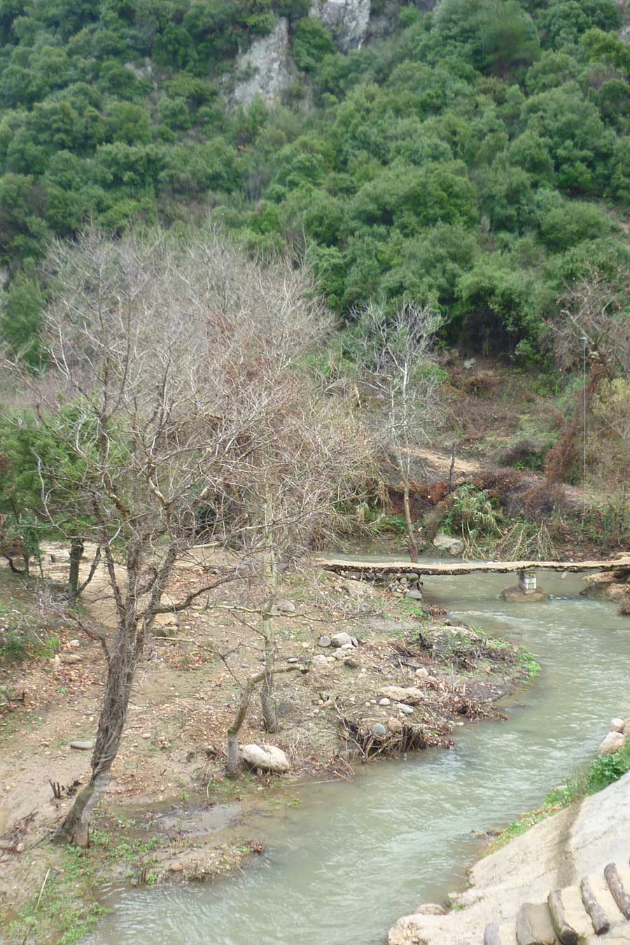 Paysage du Liban Sud