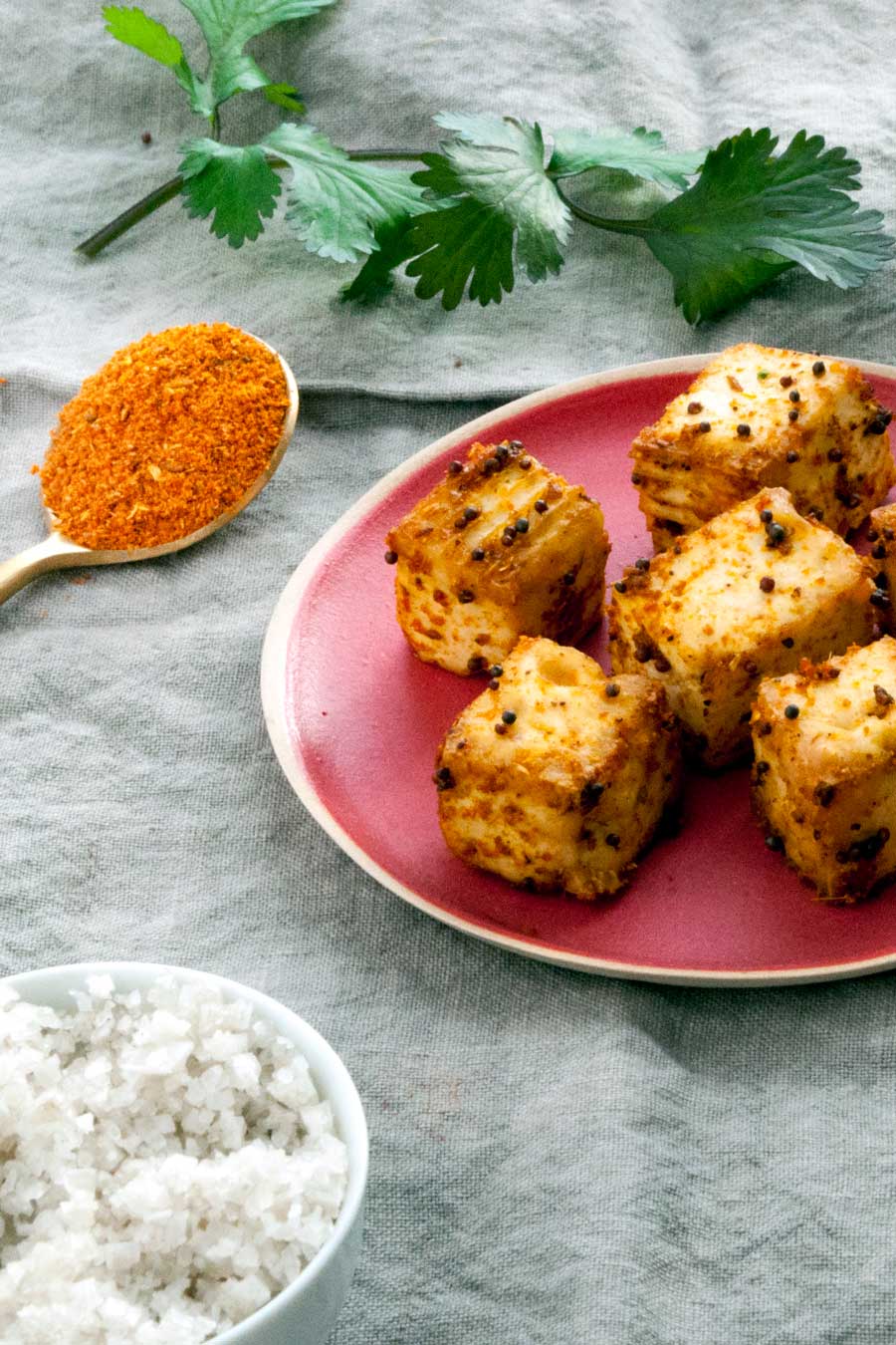 Tofu coupé en cube et grillé recouvert de tandoori masala bio