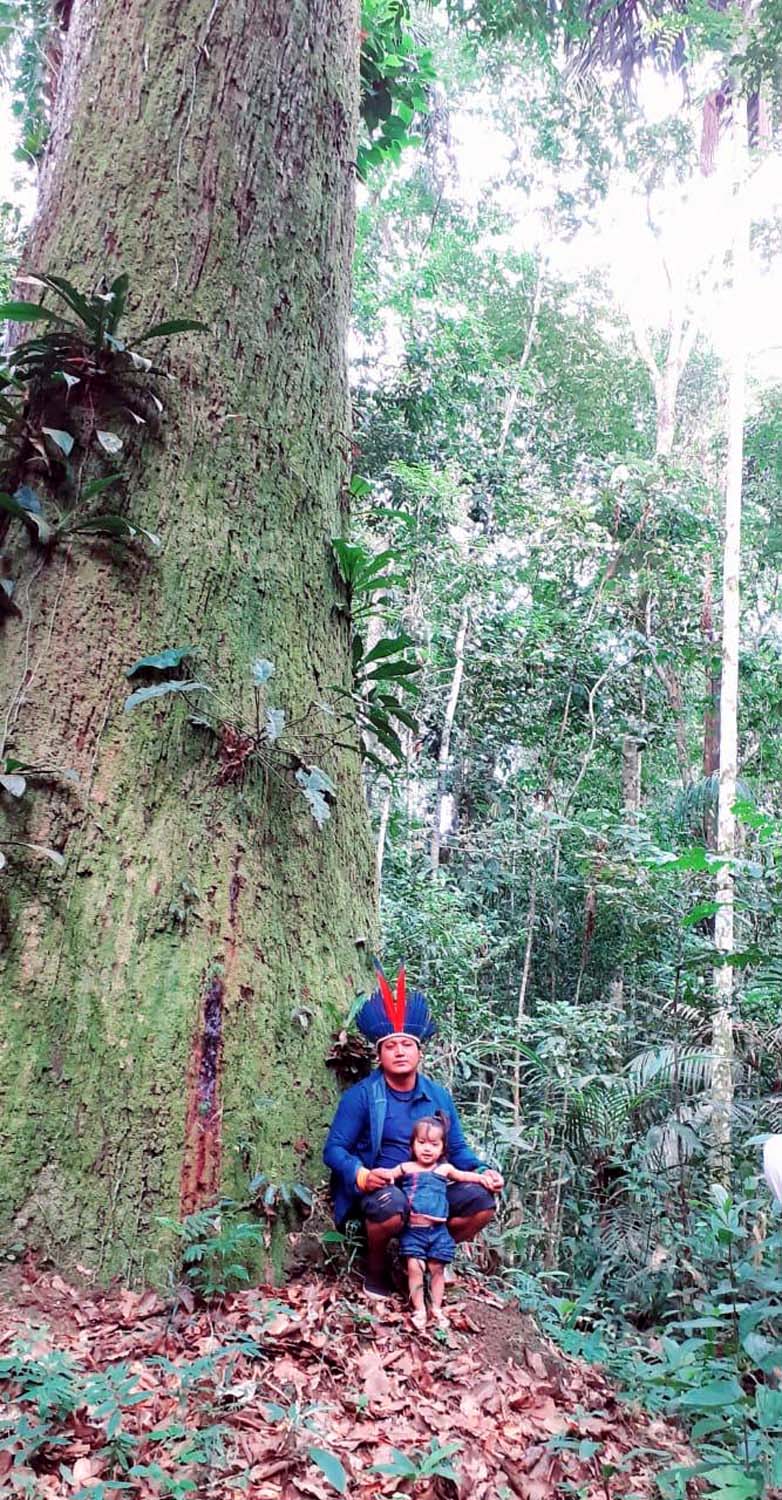 Peuple Sateré Mawé pratiquant la cueillette sauvage en Amazonie centrale