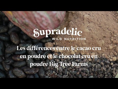 
                  
                    Charger et lire la vidéo dans la visionneuse de la Galerie, Video sur les différences entre le cacao cru et le chocolat cru en poudre Big Tree Farms
                  
                