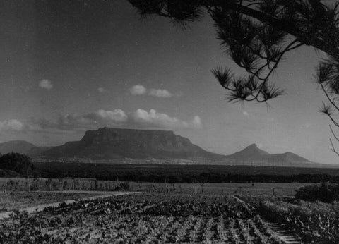 View of Table Mountain from De Grendel