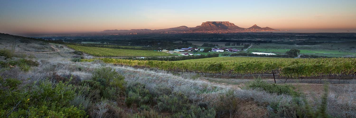 De Grendel Wines Cape Town South Africa