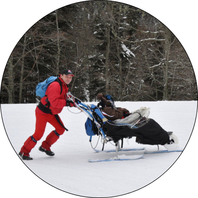 Vipamat Hippocampe All-Terrain Ski Wheelchair