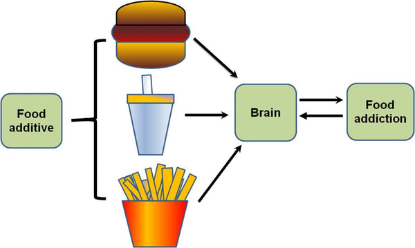 Representation of processed foods and intestines