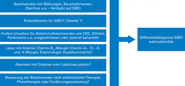 Graphical representation: Diagnostic points for SIBO