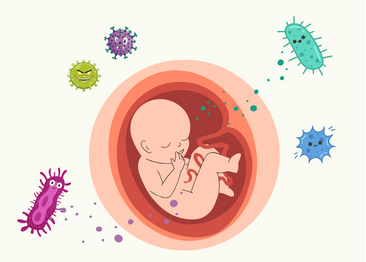 The placenta protects the baby from microorganisms but allows metabolic products to pass through.