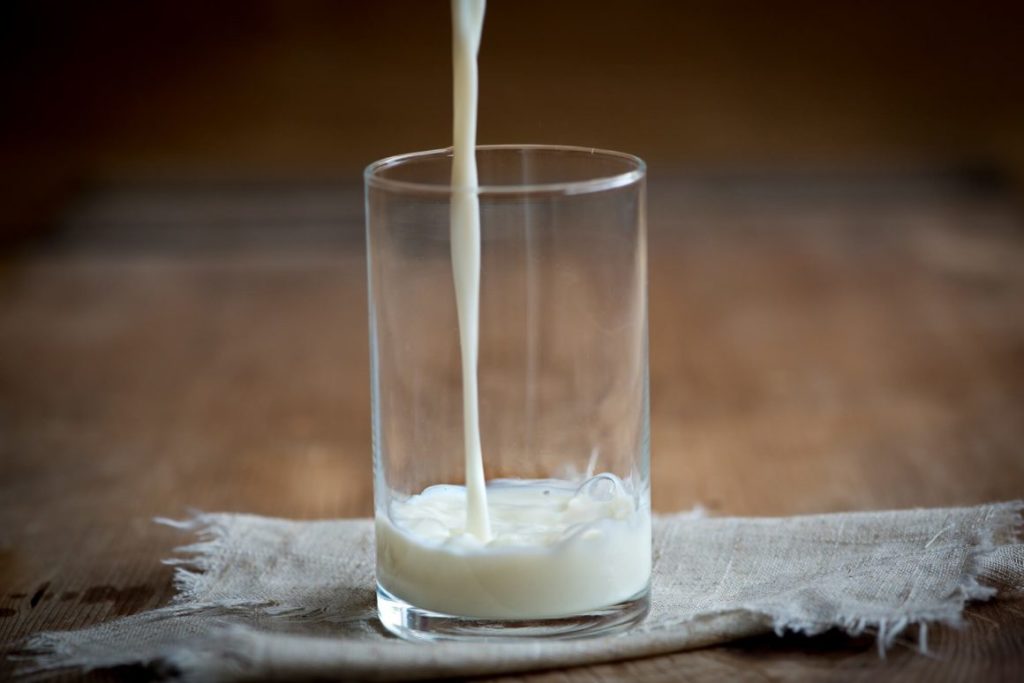 Lactic acid bacteria are masters of fermentation - this is how they convert milk into yogurt.