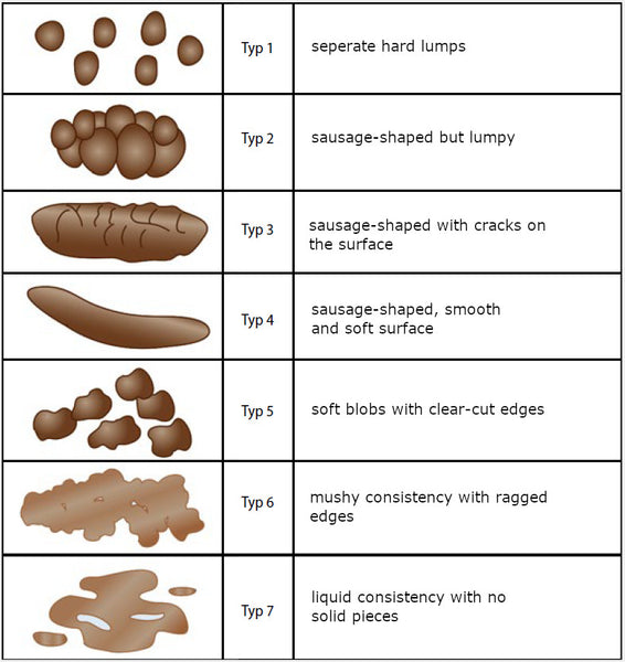 Bristol Stool Scale shows 7 different types of stool from constipation to diarrhea