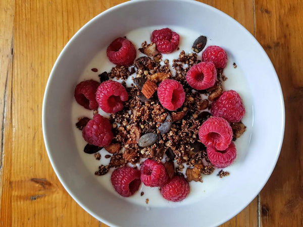 Chocolate porridge with raspberries for the intestinal microbiome or intestinal flora